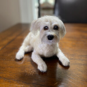 Needle felt Bichon Yorkie by CeeBeers