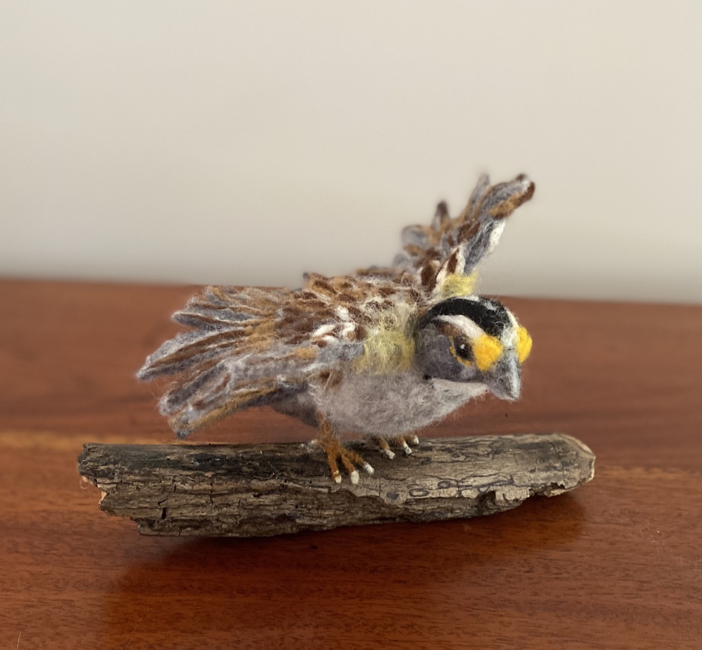 Needle Felt White Throat Sparrow by CeeBeers